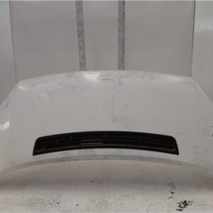 CAPO DELANTERO Ford transit furgón 2.2 TDCi PGFA 973582-100 973582100 BLANCO