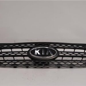 REJILLA CAPO Kia picanto (sa)(2004->) 1.1 G4HG 8635007500 NEGRO    CALANDRA DELANTERA RADIADOR capot delantera