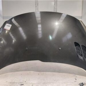 CAPO DELANTERO Peugeot 206 + (2009->) 1.4 Básico [1,4 Ltr. - 50 kW HDi] 8HR - #Prov# 8HRPROV GRIS    20CQ98
