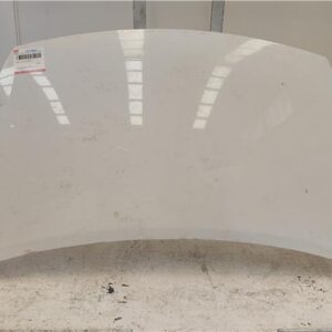 CAPO DELANTERO Peugeot partner furgón (05.2008->) 1.6 L2 Doppelkabine [1,6 Ltr. - 68 kW 16V HDi FAP] 9H06 - #Prov# 9H06PROV BLANCO
