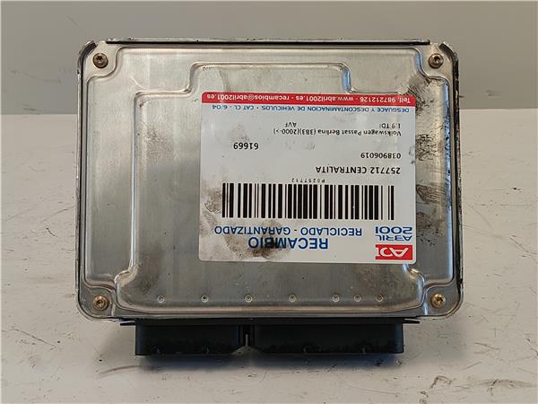CENTRALITA Volkswagen passat berlina (3b3)(2000->) 1.9 TDI AVF 038906019 38906019 GRIS uce FRK