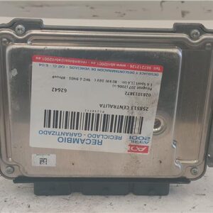 CENTRALITA Peugeot 207 (2006->) 1.6 Sport [1,6 Ltr. - 80 kW 16V CAT (NFU / TU5JP4)] 9HZ ó 9H01 - #Prov# 9HZÓ9H01PROV 0281013872 281013872 BLANCO    uce