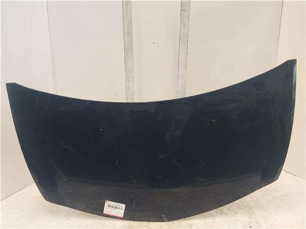 CAPO DELANTERO Renault clio iii (2005->) 1.5 dCi (C/BR1G) D/ K9K M7 - #Prov# DK9KM7PROV AZUL