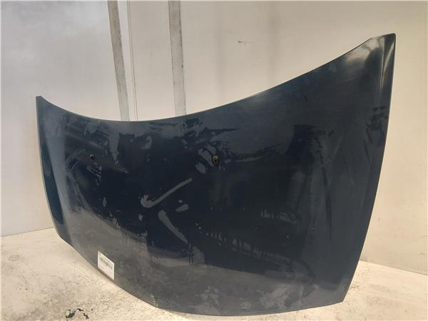 CAPO DELANTERO Renault clio iii (2005->) 1.5 dCi (C/BR1G) D/ K9K M7 - #Prov# DK9KM7PROV AZUL - Imagen 3