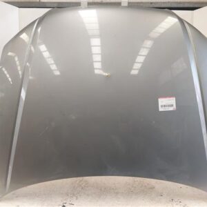 CAPO DELANTERO Audi a4 berlina (8e)(2004->) 2.0 TDI 16V (103kW) [2,0 Ltr. - 103 kW TDI] BLB GRIS    GYJ