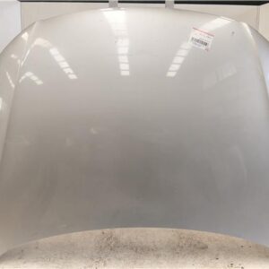 CAPO DELANTERO Volkswagen passat berlina (3c2)(2005->) 2.0 TDI 16V BKP GRIS