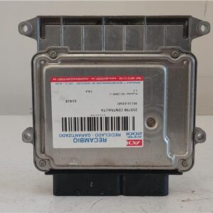 CENTRALITA Hyundai i20 (pb)(2009->) 1.2 G4LA 39110-03345 3911003345 ROJO    uce