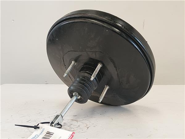 SERVOFRENO Renault laguna iii berlina (2007->) 2.0 dCi (BT0K, BT0J, BT1A, BT1D) M9R 814 - #Prov# M9R814PROV 0204051643 204051643 GRIS con bomba PK4004