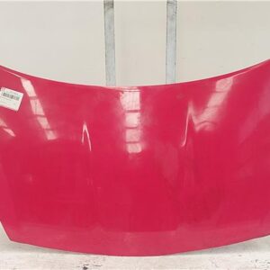 CAPO DELANTERO Hyundai i20 (pb)(2009->) 1.2 G4LA ROJO