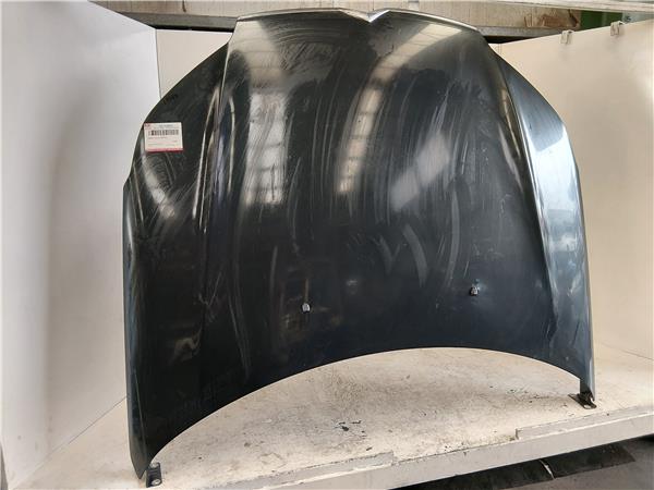 CAPO DELANTERO Citroen c5 berlina (2008->) 1.6 HDi D-9HZ - #Prov# D9HZPROV NEGRO - Imagen 2