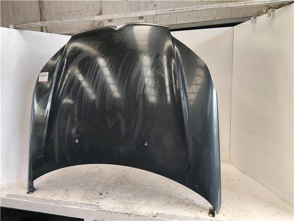 CAPO DELANTERO Citroen c5 berlina (2008->) 1.6 HDi D-9HZ - #Prov# D9HZPROV NEGRO - Imagen 3