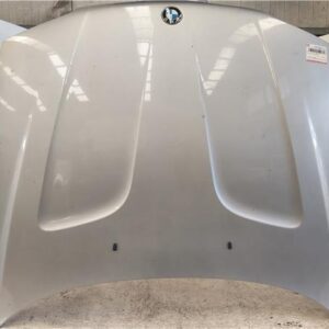 CAPO DELANTERO BMW serie x3 (e83)(2004->) 2.0d [2,0 Ltr. - 110 kW 16V Diesel CAT] M47 D20 (204D4) - #Prov# M47D20(204D4)PROV GRIS