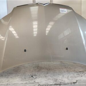 CAPO DELANTERO Citroen c4 berlina (06.2004->) 1.6 Collection [1,6 Ltr. - 80 kW HDi CAT (9HY / DV6TED4)] 9HY (DV6TED4) 9HY(DV6TED4) GRIS