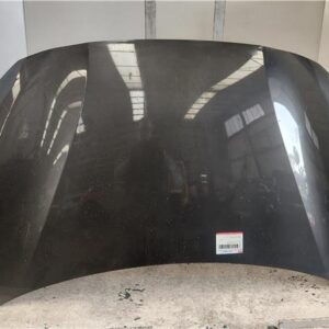 CAPO DELANTERO Peugeot 208 (p2)(06.2019->) 1.2 Active [1,2 Ltr. - 74 kW PureTech] HNE - #Prov# HNEPROV GRIS    20V256