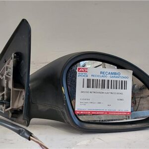 RETROVISOR ELECTRICO DCHO. Seat leon (1m1)(11.1999->) 1.9 TDI ALH E1010763 GRIS    Derecho Espejo EGR
