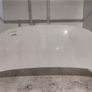 CAPO DELANTERO Opel combo e cargo (2018->) 1.5 Edition [1,5 Ltr. - 75 kW CDTI DPF] YH01 - #Prov# YH01PROV BLANCO