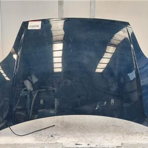 CAPO DELANTERO Ford fiesta v (jh_, jd_) 1.4 16V FXJB AZUL